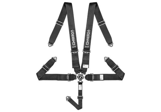 5-Point Harness Ready to Race